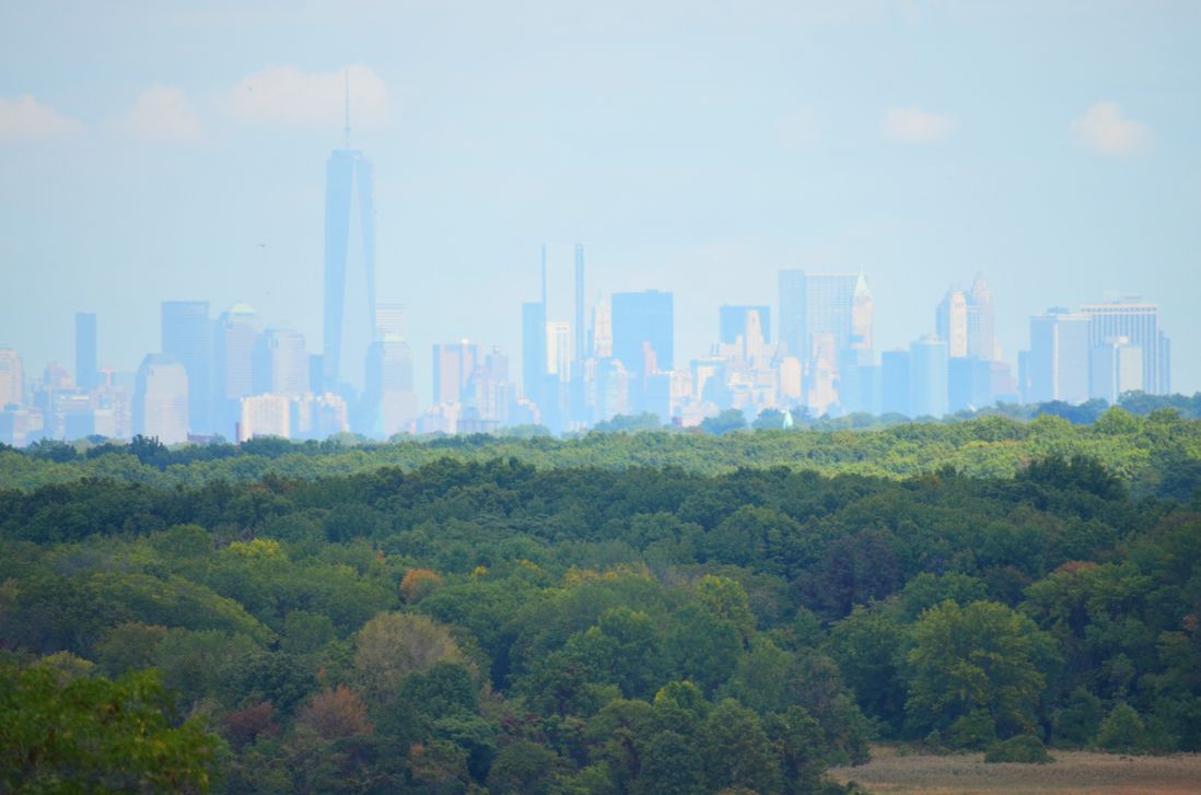One World Trade Center and Lower Manhattan as seen from the North Park area of Freshkills Park<br/>